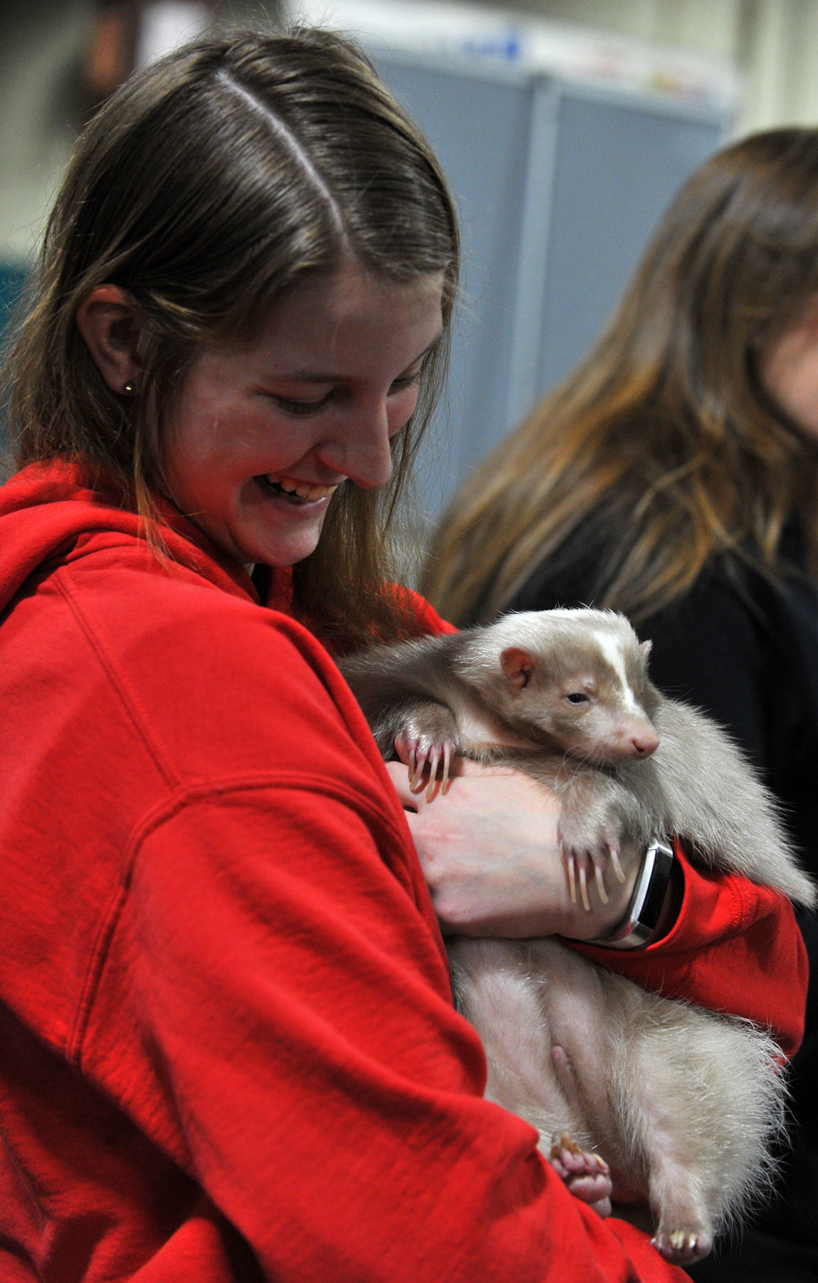 Bald Eagle Days at the QCCA Expo Center